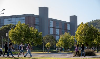 UFV abre concursos para professores nos três campi