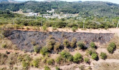 Incêndio atinge área de vegetação no Parque do Cristo em Viçosa