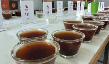 Produtores de Araponga se classificam para a 2ª etapa do Concurso de Qualidade dos Cafés de MG 