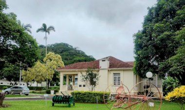 Pinacoteca da UFV retorna esta semana com nova exposição