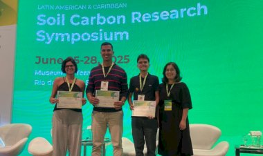 Pesquisadores da UFV conquistam prêmios internacionais