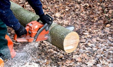 Senar oferece 12 cursos gratuitos para Viçosa e região