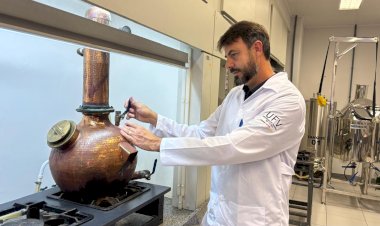 UFV oferece análises para detectar metanol em bebidas destiladas