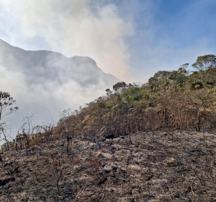 Incêndios atingem milhares de hectares em parques de Minas Gerais