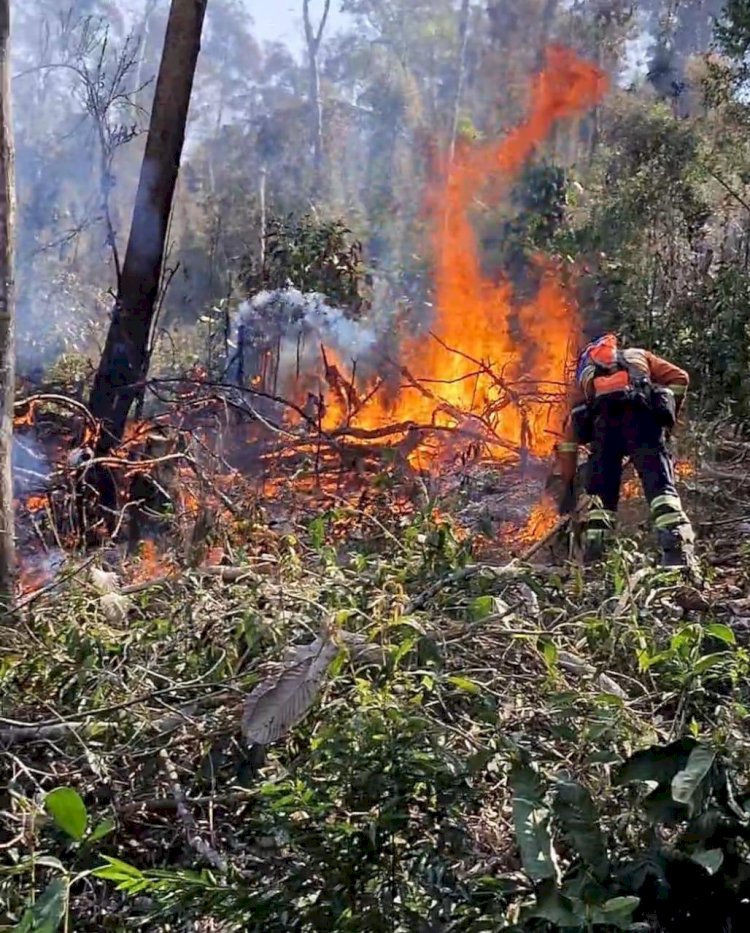 Operação de combate a incêndio na Serra do Brigadeiro entra no 5º dia