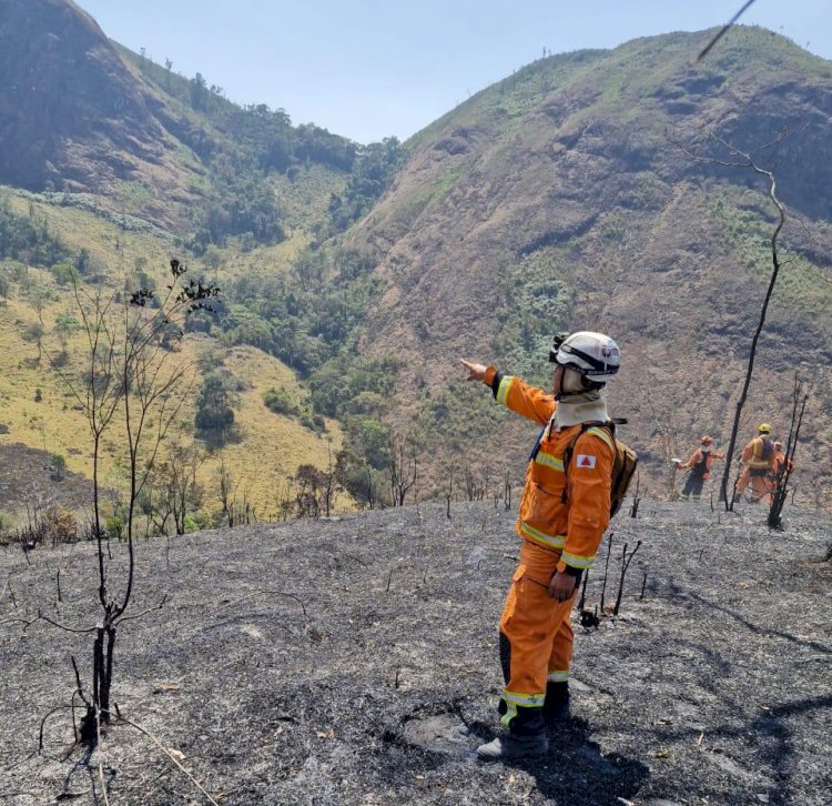 Incêndios florestais na Zona da Mata dobram em relação ao ano passado