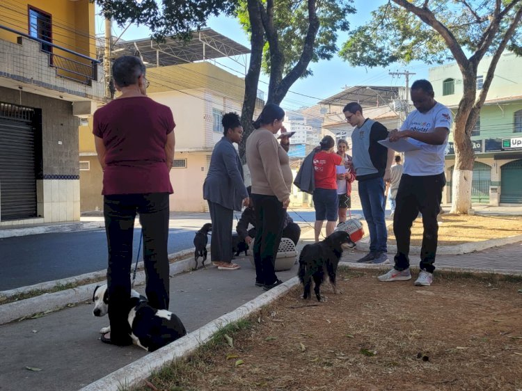 Vacinação antirrábica de reforço acontece em Viçosa neste sábado