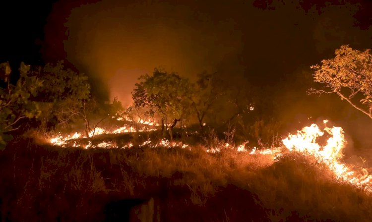 Brasil reduz em 12% emissões de gases do efeito estufa em 2023, segundo pesquisa