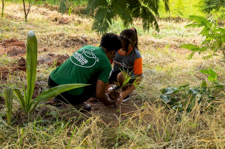 Isaviçosa promove mutirão de plantio no Parque do Cristo