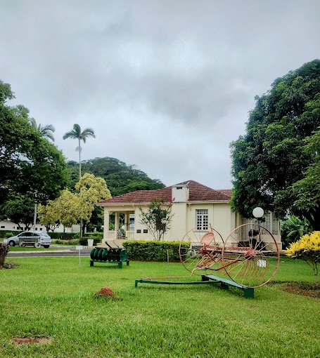 Pinacoteca da UFV retorna esta semana com nova exposição