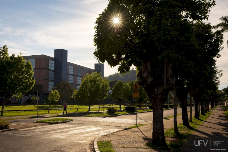 UFV promove trilha até o Recanto das Cigarras neste domingo, 22