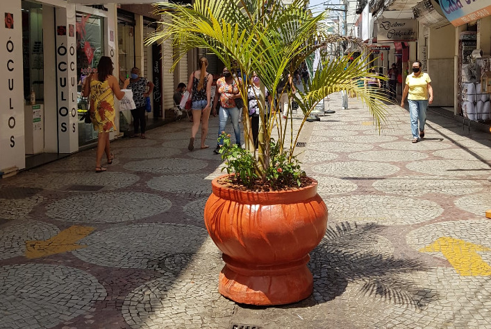 Vasos decorativos retornam ao Calçadão