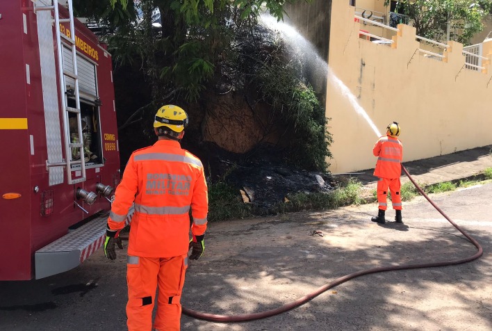 Bombeiros combatem incêndio em vegetação no Belvedere