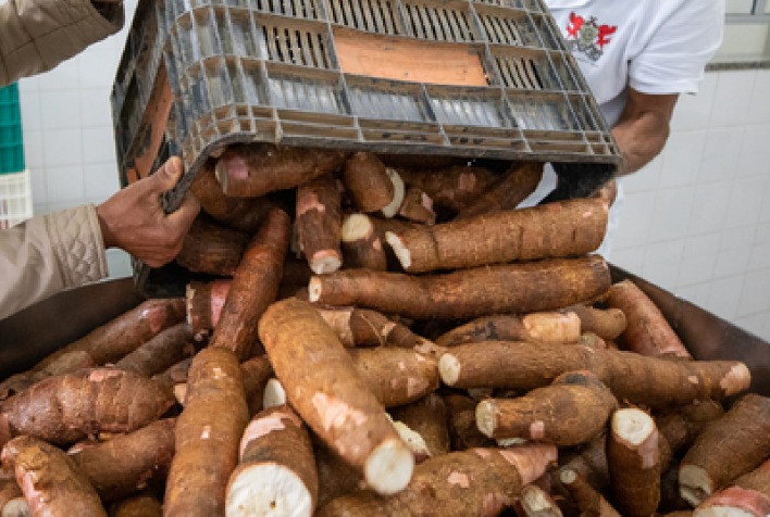 UFV aumenta aquisição de alimentos da agricultura familiar no RU III