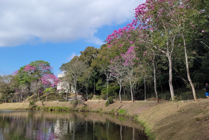 Confira como fica o tempo em Viçosa e região neste fim de semana