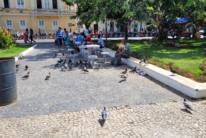 Câmara aprova lei que proíbe alimentar pombos em espaços públicos