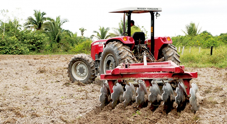 Agricultura abre inscrições para mecanização agrícola