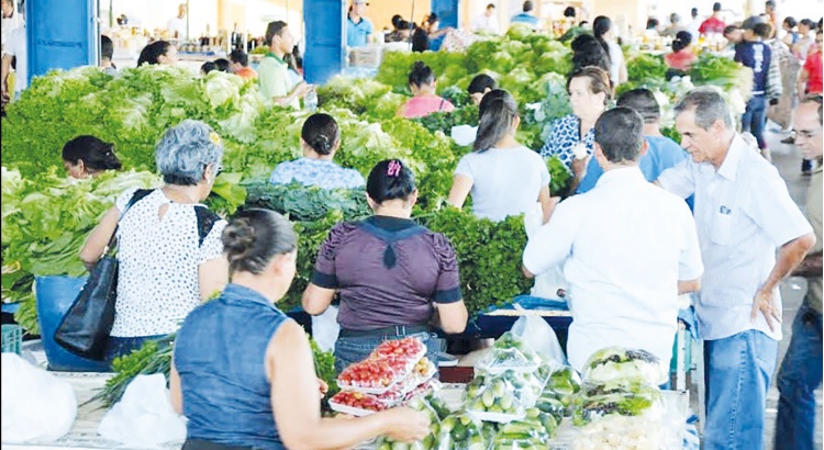 Viçosa emitirá certificado para confiabilidade de produtos orgânicos