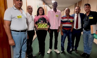 Fruticultores de Paula Cândido querem construir unidade de beneficiamento 