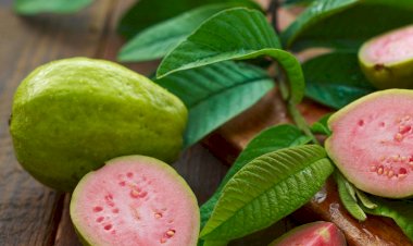 Senar promove dia de campo em Paula Cândido neste sábado