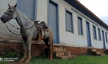 Piranga sedia 10ª Noite Mineira de Museus e Bibliotecas