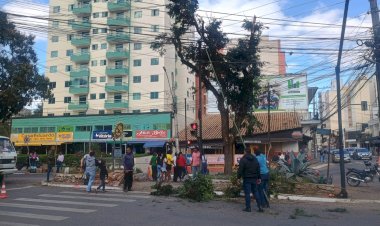 PMV continua com manutenção em parques e jardins da cidade