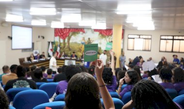 Estudantes de Viçosa participam da Plenária Regional do Parlamento Jovem em Ubá