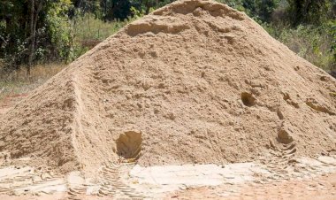 Minas Gerais sanciona lei que regulamenta uso de areia descartada de fundição