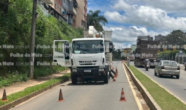 Corte de árvore em horário de pico é autorizado pela Prefeitura