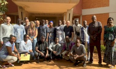 Professores da UFV participam de missão na África para fortalecer produção de manga