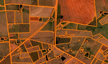 IBGE utilizará Inteligência Artificial desenvolvida pela UFV no Censo Agropecuário 2027