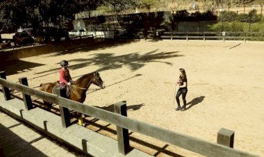 UFV abre inscrições para aulas de equitação; veja como participar
