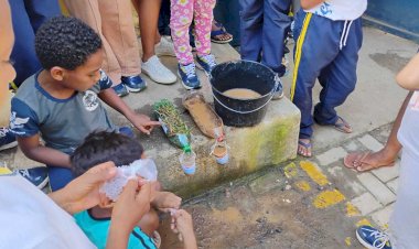 PMV e ViJazz promovem plantio de 220 árvores com alunos da rede municipal