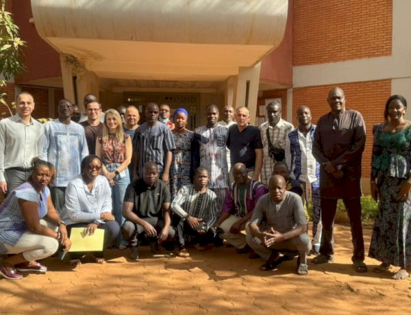 Professores da UFV participam de missão na África para fortalecer produção de manga