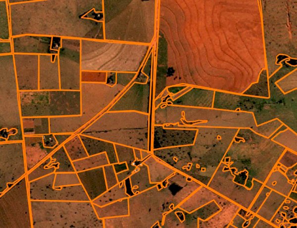 IBGE utilizará Inteligência Artificial desenvolvida pela UFV no Censo Agropecuário 2027