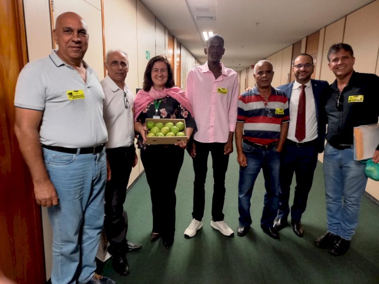 Fruticultores de Paula Cândido querem construir unidade de beneficiamento 