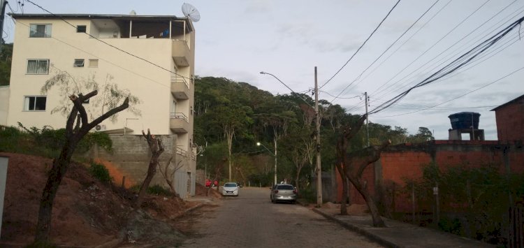 PMV faz poda desastrosa em rua do bairro Inácio Martins