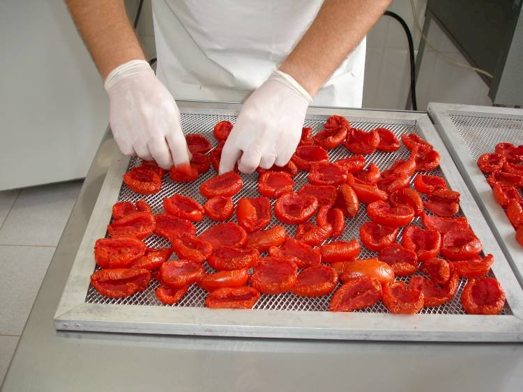 Coimbra tem curso gratuito sobre produção artesanal de conservas e derivados do tomate