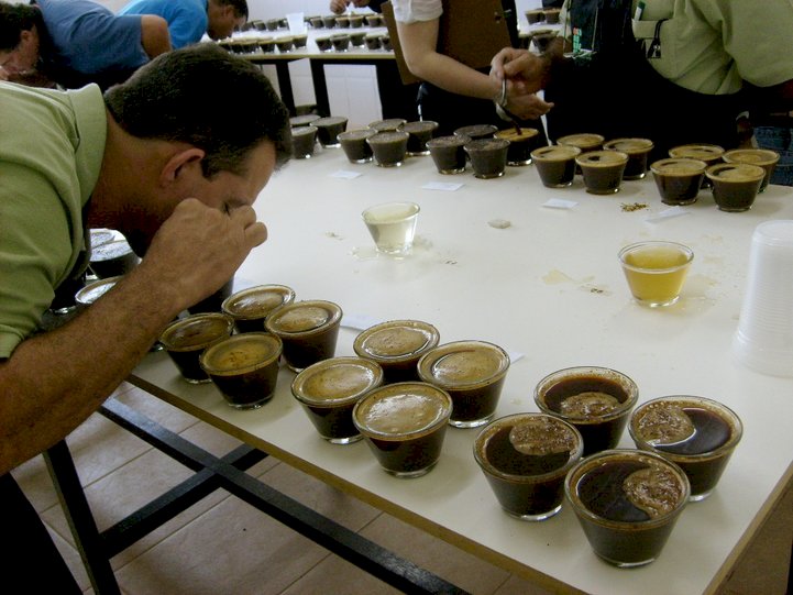 Ervália promove 16º edição do Concurso de Cafés de Qualidade