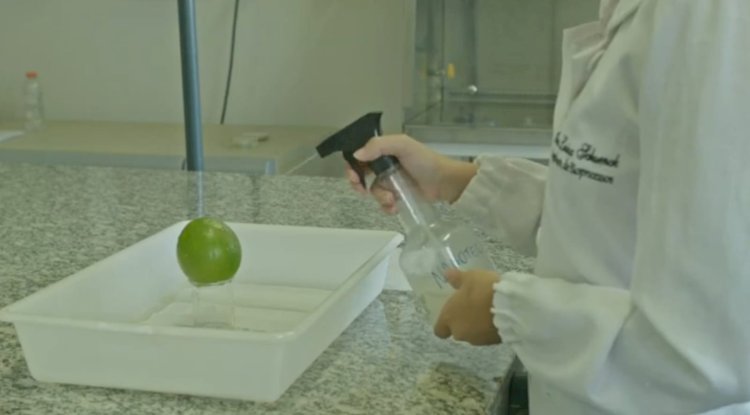 UFV e UFSJ desenvolvem tecnologia para preservar frutas e reduzir perdas