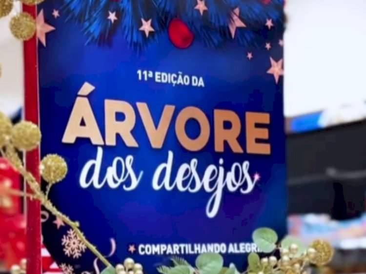 “Árvore de Desejos” recebe brinquedos para crianças de Viçosa