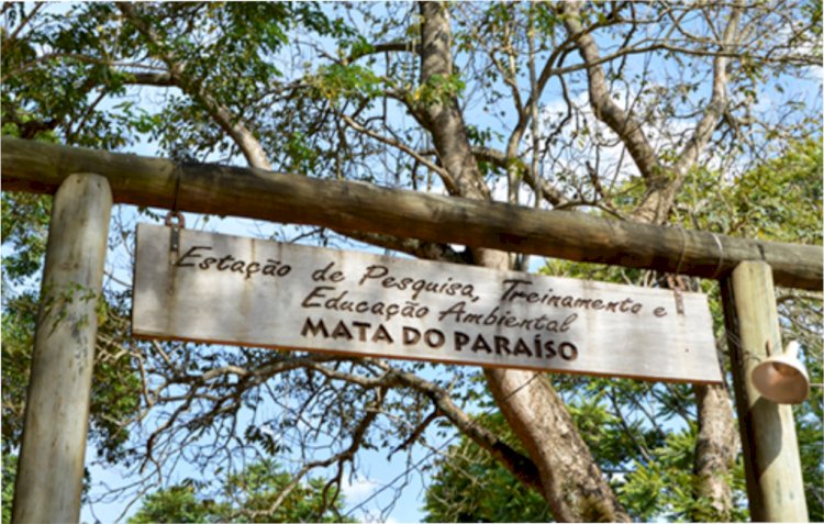 Grupo da UFV promove Trilha Sensorial na Mata do Paraíso