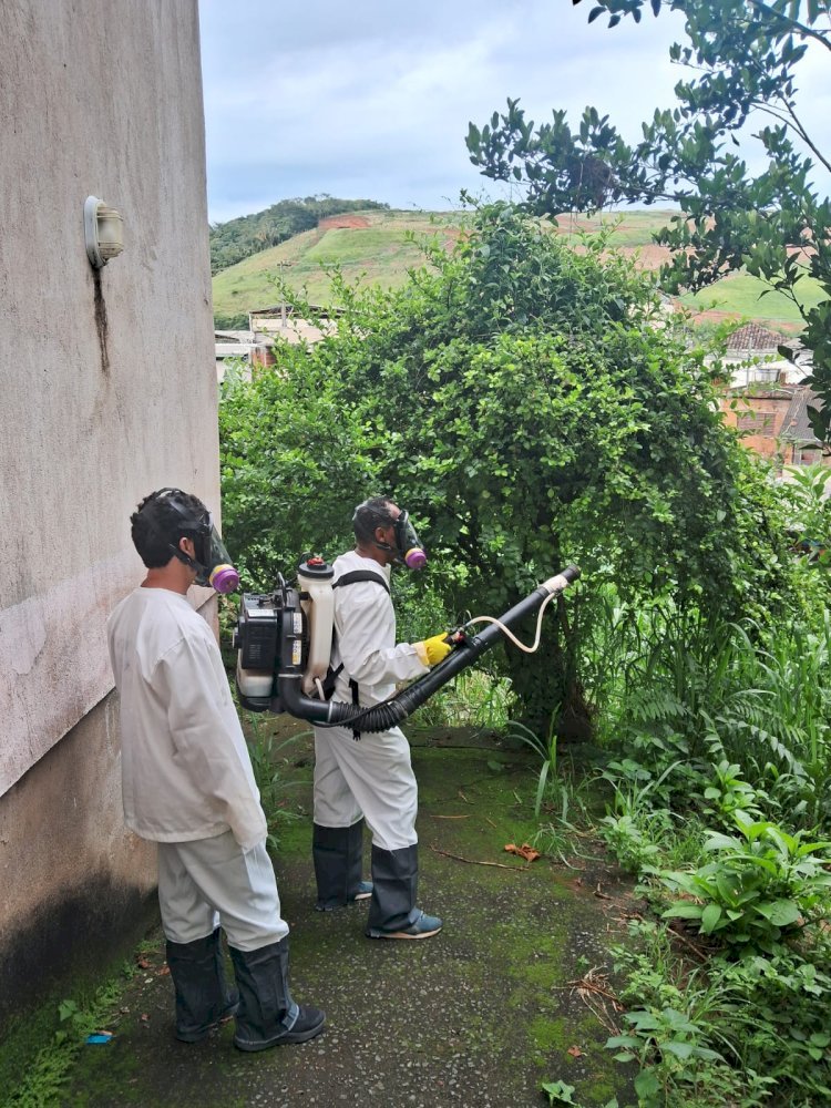 Viçosa registra 87% menos casos de dengue em relação ao ano passado