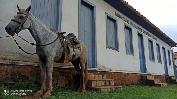 Piranga sedia 10ª Noite Mineira de Museus e Bibliotecas