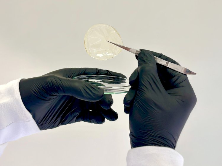Pesquisadores da UFV criam curativo biodegradável para tratamento de feridas