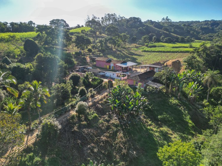 Piranga divulga locais da 5ª semana da vacinação antirrábica