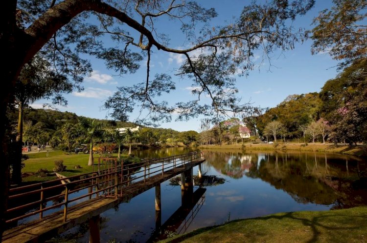 UFV lança documentário sobre mudanças climáticas