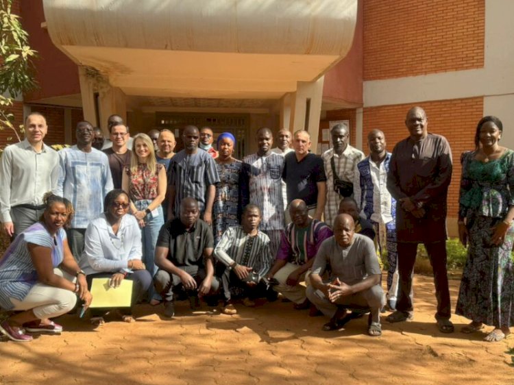 Professores da UFV participam de missão na África para fortalecer produção de manga