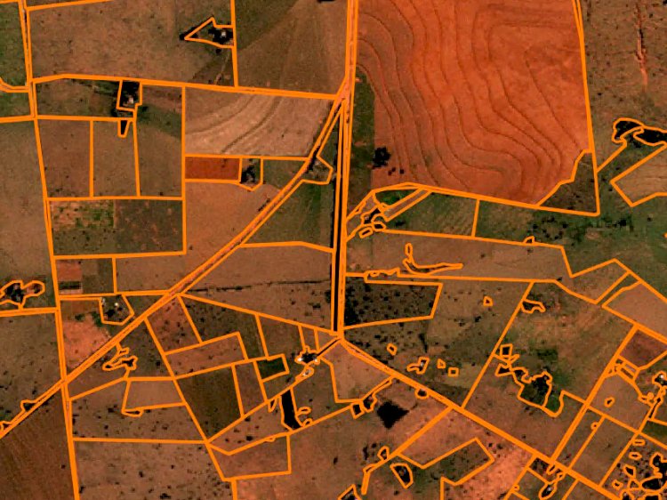 IBGE utilizará Inteligência Artificial desenvolvida pela UFV no Censo Agropecuário 2027