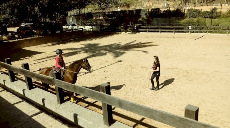 UFV abre inscrições para aulas de equitação; veja como participar